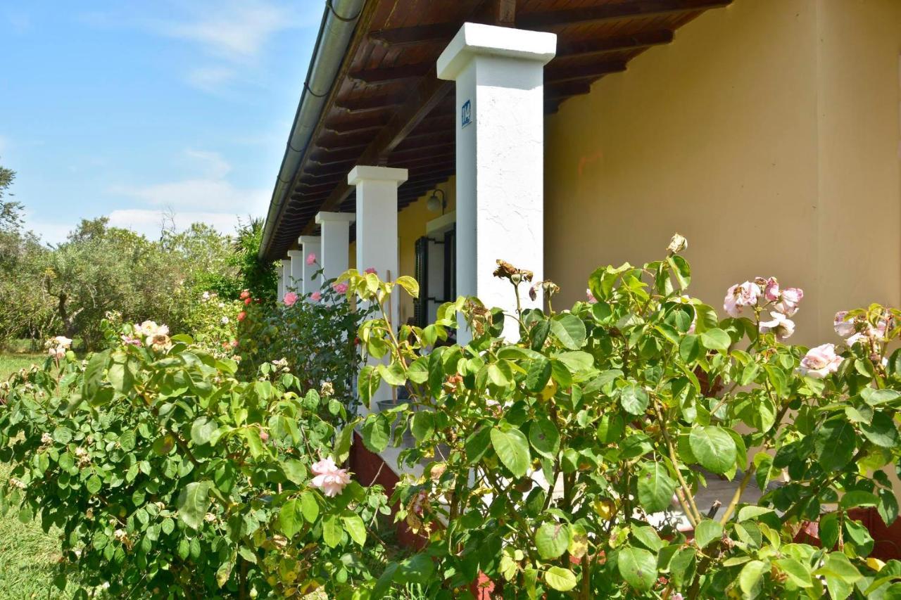 Sofia Appartement *