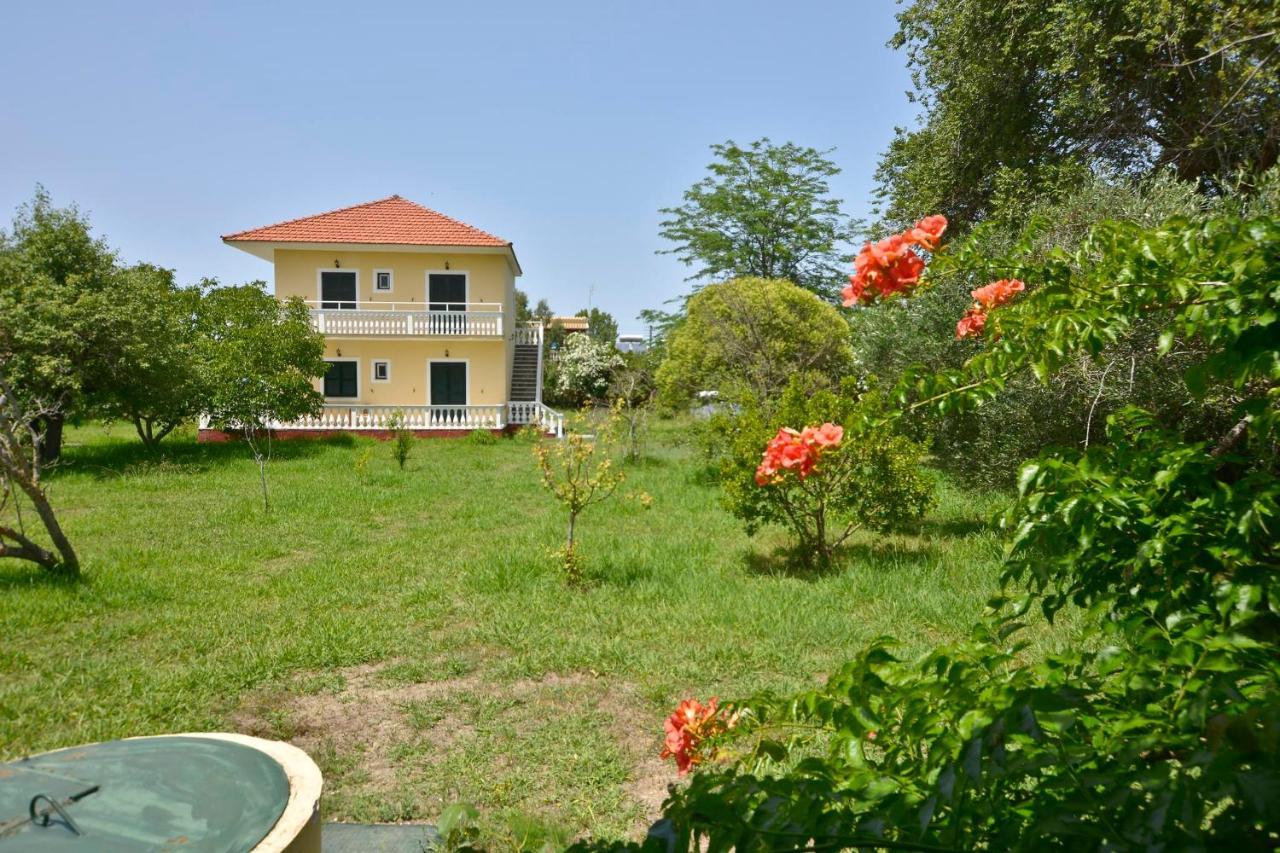 Sofia Appartement Sidárion